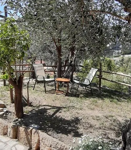 Appartamento Ulivo