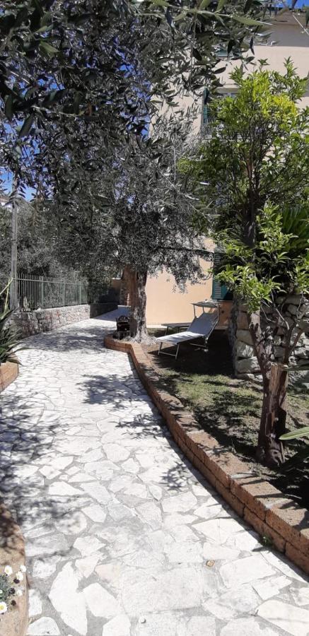 Ulivo Apartment