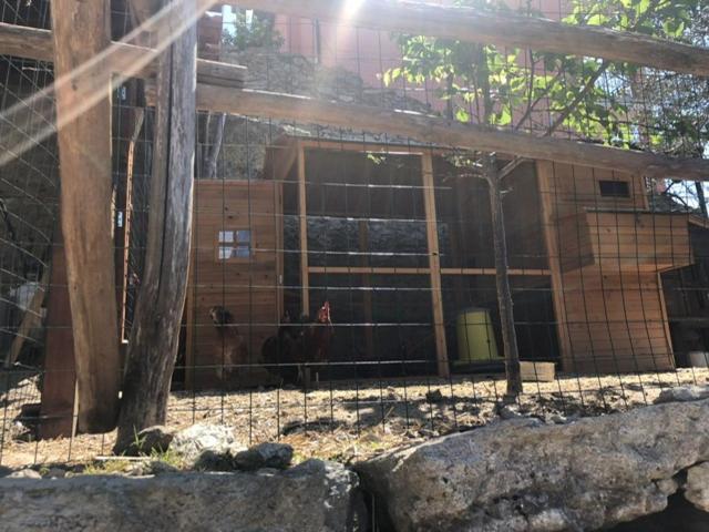 Ulivo Apartment Finale Ligure